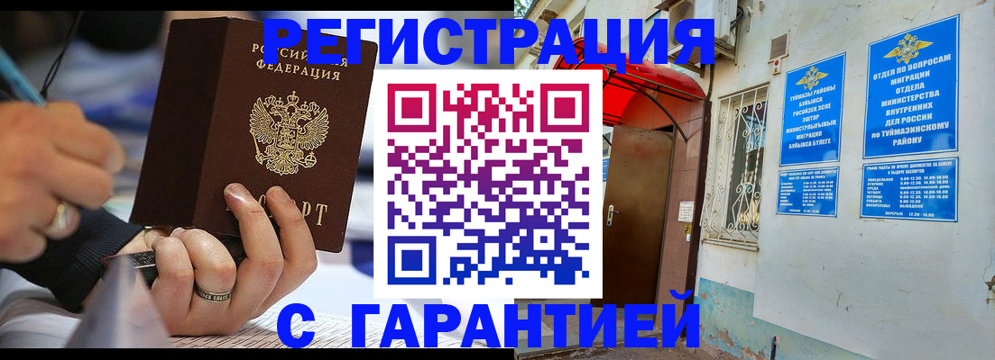 где прописаться в Нелидово